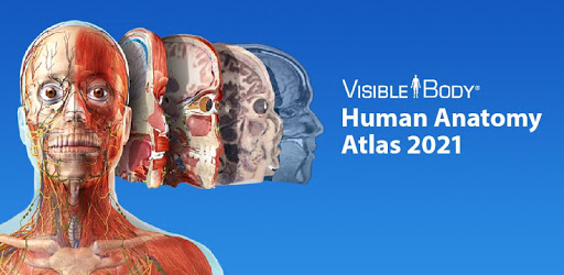 visible body 3d human anatomy atlas pc cracked