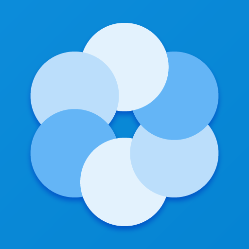 Bluecoins Finance MOD APK 12.8.1 (Premium) Pic