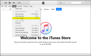 iTunes v12.11.3.17