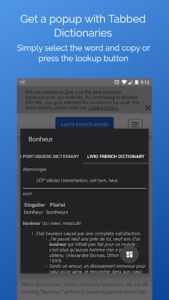 Look Up -Pop Up Dictionary Pro