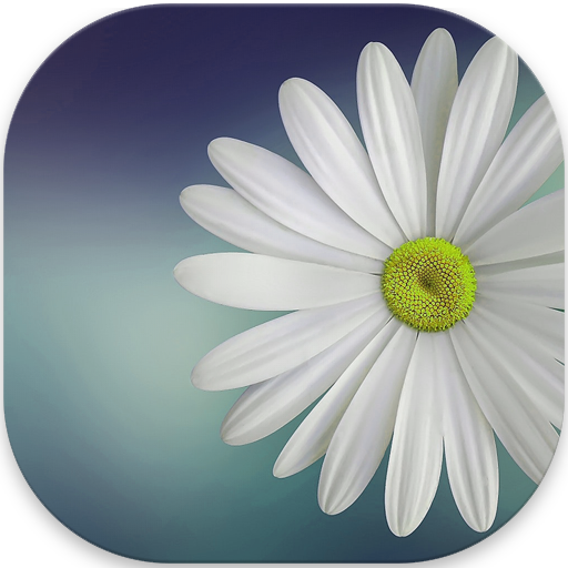 Gallery Lite - No Ads v1.2.2 Pic