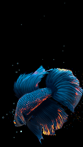 3d Aquarium Live Wallpaper Mod Apk Image Num 88