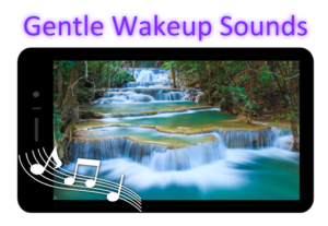 Gentle Wakeup Pro - Sleep, Alarm Clock & Sunrise