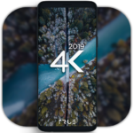 4K Wallpapers – Auto Wallpaper Changer 4.2.2.1 (Pro Mod)