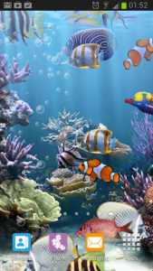 The real aquarium - Live Wallpaper