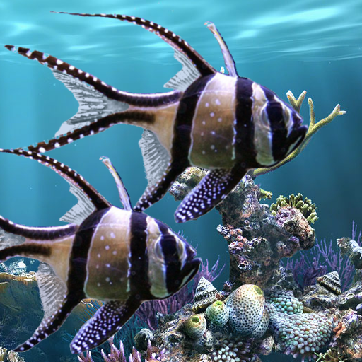 The real aquarium - Live Wallpaper v2.30 (Modded-SAP) Pic