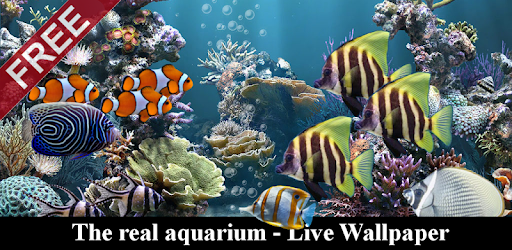 The real aquarium – Live Wallpaper v2.30 (Modded-SAP)