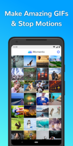GIF Maker by Momento