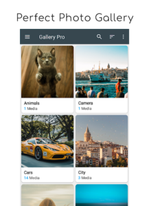 Gallery Pro: Photo Manager & Editor