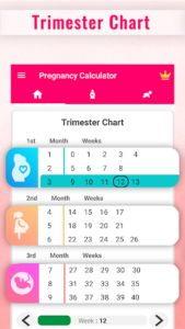 Pregnancy Calculator -Track Pregnancy Week by Week