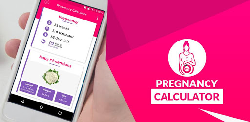 Pregnancy Calculator -Track Pregnancy Week by Week v22.37 (SAP) (Pro)