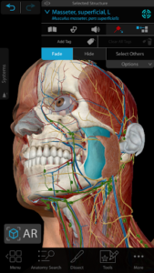 Human Anatomy Atlas 2023