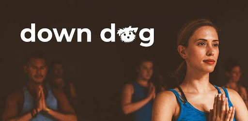 Yoga | Down Dog | Vinyasa Hatha Ashtanga Chair v4.6.1 (Subscribed)