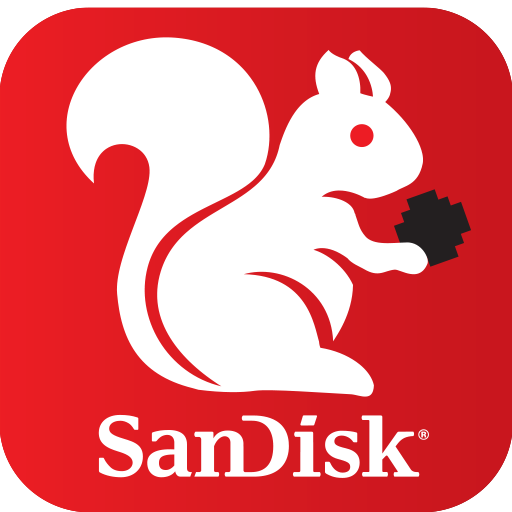 SanDisk Memory Zone 4.2.3 Pic