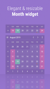 Calendar Widget: Month + Agenda