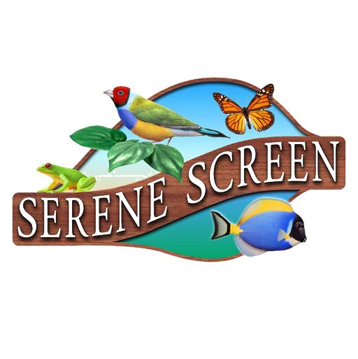 serenescreen marine aquarium 3 windows 10