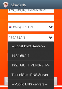 VPN Over DNS  Tunnel : SlowDNS