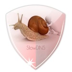VPN Over DNS Tunnel : SlowDNS v2.6.0 (AdFree)