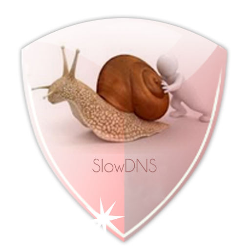 VPN Over DNS Tunnel : SlowDNS v2.6.0 (AdFree) Pic