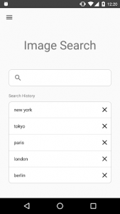 Image Search - ImageSearchMan