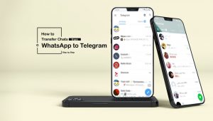 How to Transfer Chats from WhatsApp to Telegram