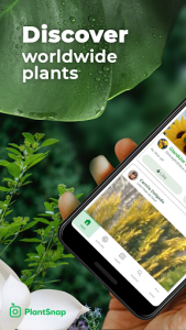 PlantSnap - FREE plant identifier app