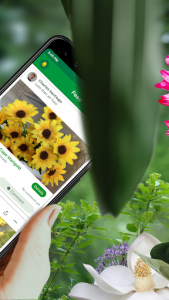 PlantSnap - FREE plant identifier app