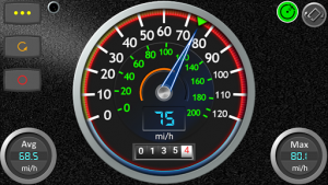 DS Speedometer & Odometer