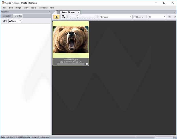 Photo Mechanic Plus 6.0.6890 instal the new for mac