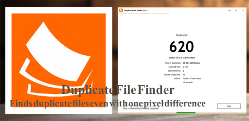 Duplicate File Finder Professional v2021.05 (Multilingual)