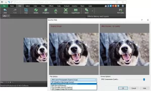 NCH PhotoPad Image Editor Professional v7.59 Beta