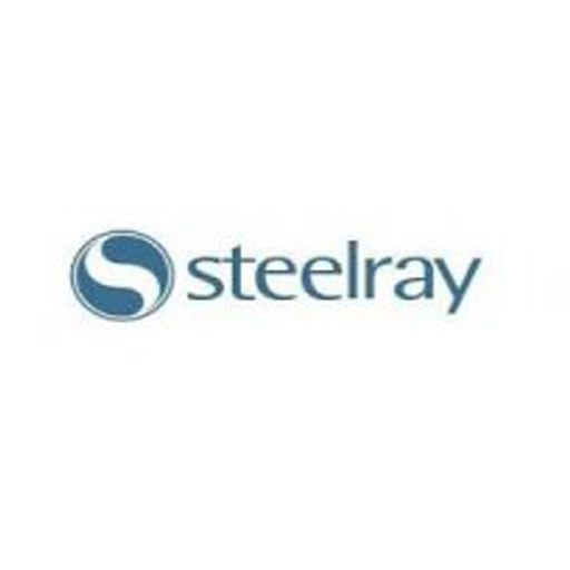 Steelray Project Viewer 6.19 download the new version for iphone