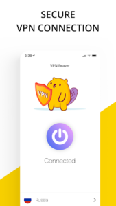 VPN service - VPN Beaver Proxy