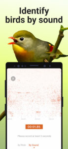 Picture Bird - Bird Identifier