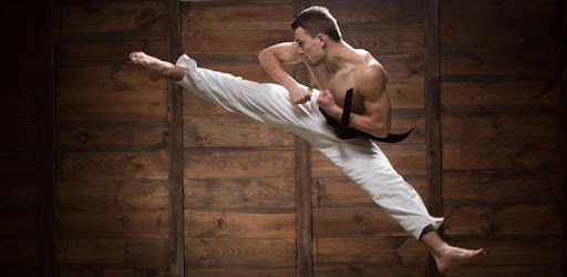 Mastering Taekwondo at Home MOD APK 1.3.1