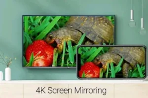 All TV Screen Mirroring Pro