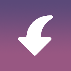 Insget - Instagram Downloader 3.8.2 (Premium) Pic