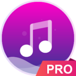 Music player - pro version 6.11 (Paid) Pic