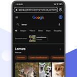 Lemur Browser - extensions