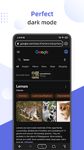 Lemur Browser - extensions