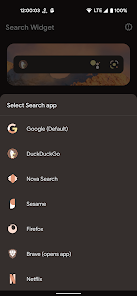 Search Widget (Material You)