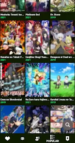 Zoro To Anime App