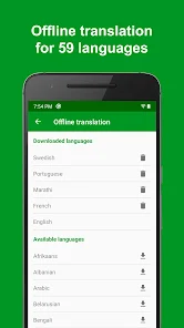 Offline Language Translator