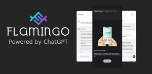 Flamingo: Chat with AI