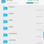 Search Duplicate File MOD APK 4.173 (Paid) Pic