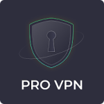 The Pro VPN MOD APK 1.0.6 (Paid) Pic