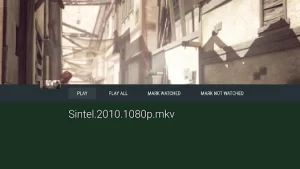 Vimu Media Player for TV