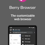 Berry Browser MOD APK 3.71.39.1 Pic